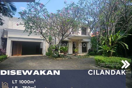 Disewakan Rumah Mewah Siap Huni Bali Resort Style House Cocok untuk Embassy/Expatriat di Cilandak Jakarta Selatan