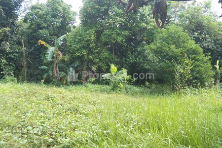 Dijual Tanah Strategis untuk Industri dan Gudang di Pinggir Jalan Raya Purwadadi dan Dekat Gerbang Tol