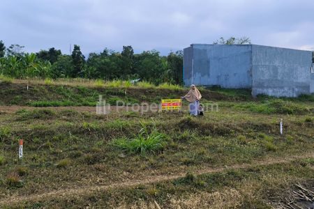 Dijual Investasi Tanah Murah di Dataran Tinggi Dayurejo Prigen Pasuruan
