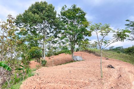 Jual Tanah 8000m² Cocok untuk Kebun Buah di Jenawi Karanganyar Jawa Tengah