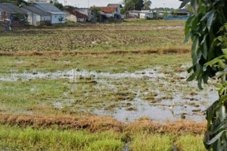 Jual Tanah untuk Perumahan Atau Gudang Strategis Pinggir Jalan Nasional Dekat Kota Indramayu