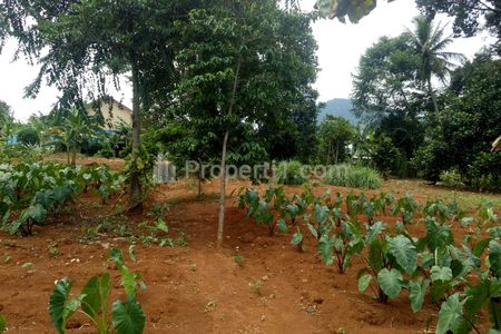 Jual Kavling Eksklusif 2 Jutaan/m² di Jantung Sentul Bogor