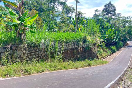 Jual Kebun Durian 950m2 Harga 250 Juta di Mojogedang Karanganyar Jawa Tengah