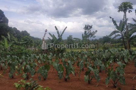 Dijual Tanah Kavling SHM Sentul Bogor Harga 2 Jutaan/m²