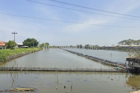 Jual Tanah Sangat Luas di Arteri Kaliwungu Kabupaten Kendal