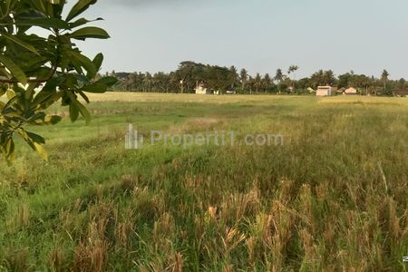 Dijual Tanah Sawah Mangku Jalan Aspal di Moyudan Sleman, Yogyakarta
