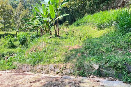 Jual Tanah Kebun Durian 65 Juta 500m2 di Ngargoyoso Karanganyar Solo