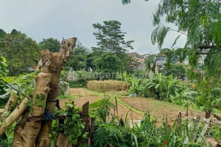 Jual Tanah 7375 m2 SHM Lebar Muka 100 Meter untuk Perumahan dan Permukiman di Cihanjuang Cimahi