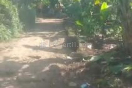 Jual Tanah di Kampung Baru Citayam Bogor - Harga Rp 1,1 Milyar Nego Luas 950 m2