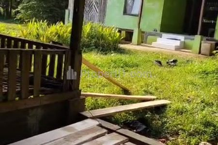 Jual Tanah Termasuk Ternak Sapi + Tanaman Produktif di Jampang Kulon Sukabumi