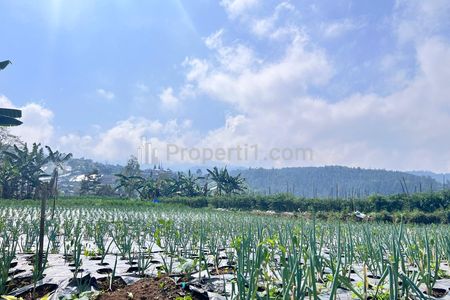 Jual Tanah 7000m² Cocok untuk Wisata Kebun Buah di Ngargoyoso Karanganyar Solo