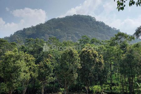Jual Tanah 18215 m2 SHM View Gunung Batu untuk Rumah Kost, Villa, Resort Kebun, Dekat Kawasan Pesantren Al-Falah Nagreg Bandung