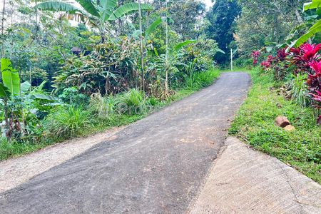 Jual Tanah Istimewa 1 Hektar 500Juta di Utara Candi Cetho Karanganyar Solo, Jawa Tengah