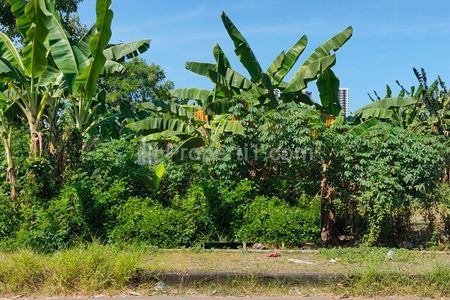 Tanah Dijual Gayungsari Surabaya Selatan