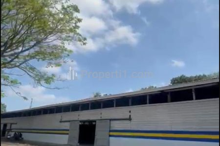 Disewakan Gudang di Pakisaji Malang