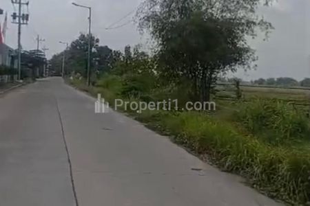 Dijual Tanah di Gedeg Mojokerto