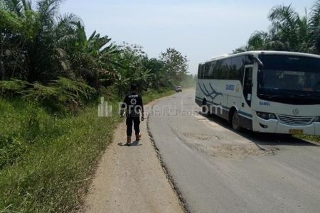 TANAH 2 ha DIJUAL MURAH (BUTUH UANG) Lokasi PINGGIR JALAN BESAR - JL. RAYA SAKETI, MALIMPING, LEBAK, BANTEN