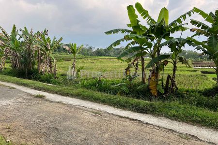 Dijual Tanah Sawah Subur 3681m2 di Matesih Karanganyar
