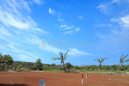 Dijual Tanah SHM di Sentul, Bogor - Dekat Akses Tol, Ideal untuk Pengembangan Properti