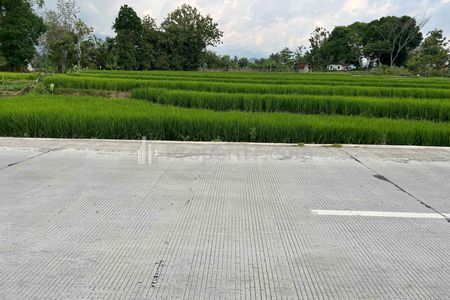 Dijual Tanah Subur 2906m2 di Matesih Karanganyar