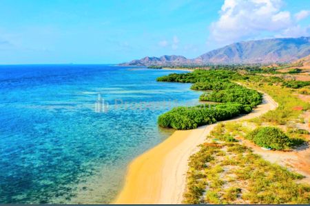 Dijual Tanah Los Pantai Tuananga Poto Tano Sumbawa Barat Nusa Tenggara Barat