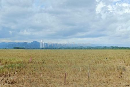 Dijual Tanah Sawah Produktif di Belang-belang Kota Maros Sulawesi Selatan - Lokasi Strategis 200 Meter dari Jalan Propinsi