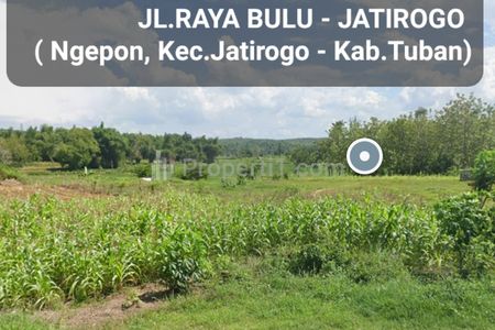 Dijual Tanah 1,6 Ha di Nol Jalan Raya Bulu - Jatirogo - Kel.Ngepon - kec.Jatirogo  - Kab. Tuban - Jawa Timur - Surat SHM - Lokasi Bagus