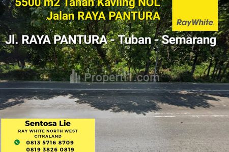 Dijual Tanah 5500 m2  Nol Jalan Raya Pantura Tuban - Semarang - Lokasi Strategis, Cocok Buat Segala Usaha, SPBU, dll