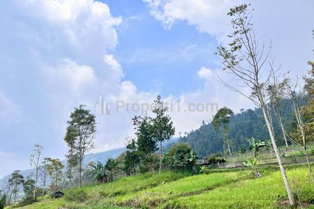 Dijual Tanah 1 Hektar View Gunung Lawu di Ngargoyoso Karanganyar