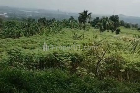 Tanah Dijual di Sentul Citereup Bogor