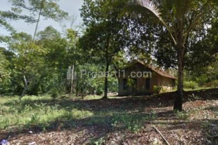 Dijual Tanah Luas di Raya Pelabuhan Ratu, Sukabumi
