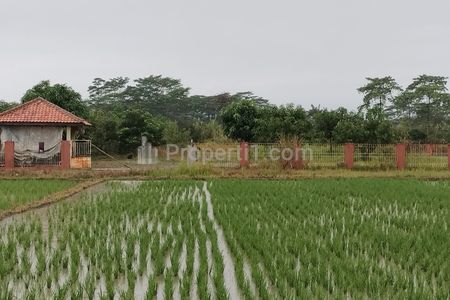 Dijual Murah Tanah Kebun/Sawah di Klapanunggal Cileungsi Kabupaten Bogor