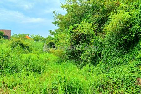 Dijual Tanah 1520 m2 Jl. Gunung Catur Gatsu Barat Denpasar Bali