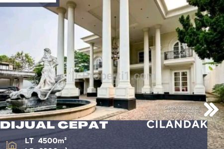 Dijual Rumah Mewah dengan Tanah Luas Harga di Bawah Appraisal di Cilandak Jakarta Selatan
