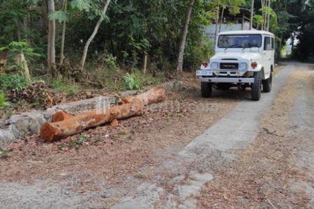 Jual Cepat Tanah Murah dan Cantik di Tirtomartani Kalasan Sleman Yogyakarta