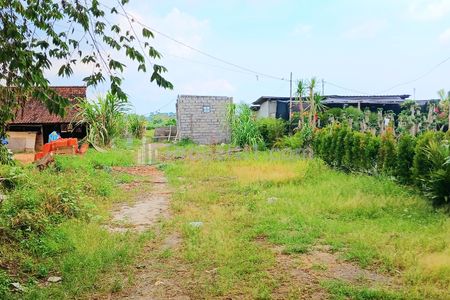 Disewakan Tanah di Darmasaba Abiansemal Badung Bali