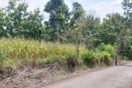 Jual Tanah Datar 8001m2 Harga 90rb/m2 Siap Bangun di Miri, Sragen, Jawa Tengah