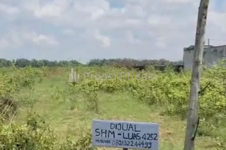 Jual Tanah Pinggir Jalan Daerah Mojotengah, Bareng, Jombang