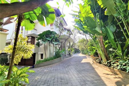 Disewakan Rumah Bernuansa Asri di Cipete Jakarta Selatan