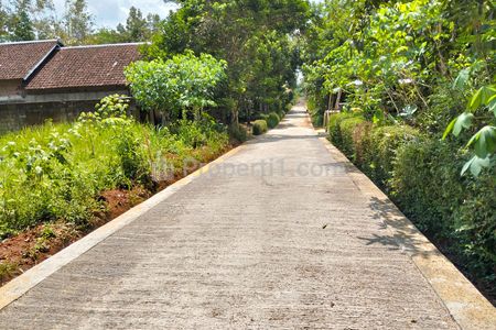 Dijual Tanah Murah 55 Juta Free BBN di Mojogedang Karanganyar