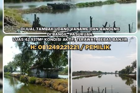 Tanah Dijual Murah di Bangil Pasuruan, Berupa Tambak Udang Vaname dan Bandeng, Luas 42.937m2 Kondisi Aktif Terawat