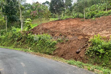 Dijual Kebun Alpukat 1200m2 Jalan DPU Ngargoyoso, Karanganyar