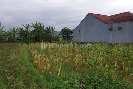 Jual Tanah Murah Lokasi Tidak Jauh Dari Kota Yogyakarta