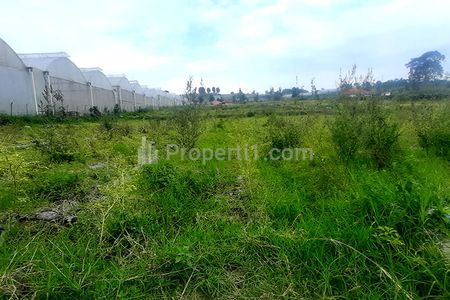 Jual Tanah 1,3 Hektar Muka 40 Meter SHM View Kota Bandung untuk Resort Villa Agro Wisata Agro Bisnis di Cisarua Lembang Bandung Barat