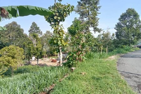 Jual Kebun Durian 1500m² Tepi Jalan Ngargoyoso Karanganyar Jawa Tengah