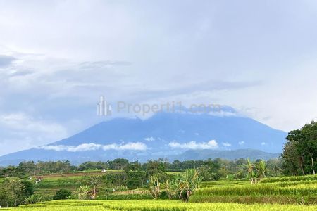 Jual Tanah Sawah 3592m² View Gunung di Kerjo Karanganyar