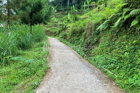 Jual Tanah 350 Juta Dekat Wisata Jembatan Kaca Kemuning, Ngargoyoso, Karanganyar, Jawa Tengah