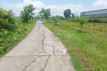 DIJUAL TANAH DAWARBLANDONG MOJOKERTO DEKAT TOL KLBM