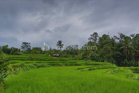 Dijual Tanah 1,2 Hektar di Tegalalang Ubud Gianyar Bali