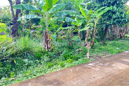 Jual Tanah 55 Juta Dekat Pasar Jambangan Kedawung Sragen